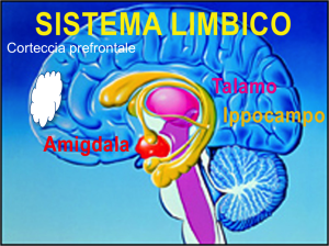Emozioni2